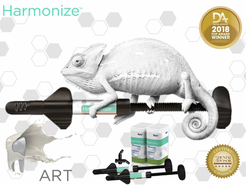 30740499_576465699385220_2911029464865439744_n_harmonize