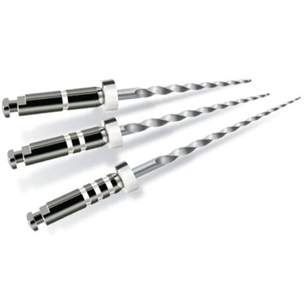 Protaper1